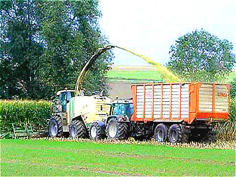 Hay Choppers Gearboxes