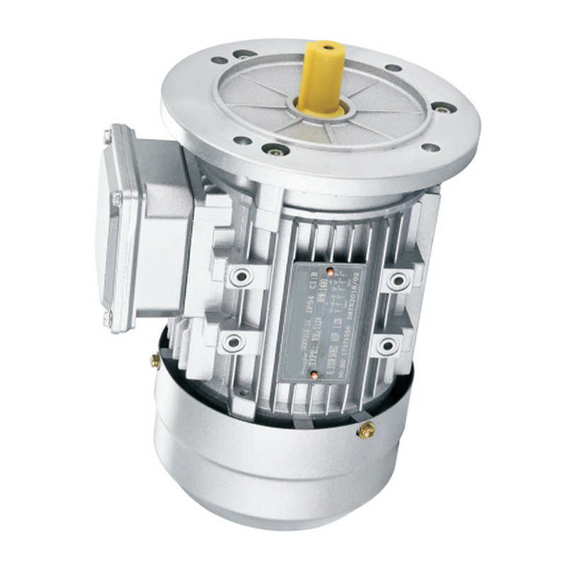 YS/YE3/YE4 Series 0.06-7.5kW 3 Phase Asynchronous Motor with Permanent Magnet Construction Brush Commutation for Gear Reducer