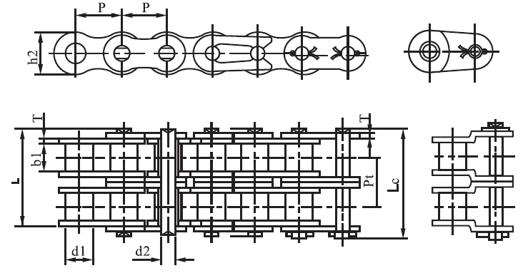 SS20A-2 a Series Stainless Steel Short 31.75mm Pitch Precision Duplex Roller Chain and Sprockets in Steel