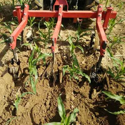 Cultivator Vs Spring Tooth Harrow