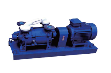 Hot Selling Single Double Stage Liquid Water-ring Vacuum Roots Rotary Van Piston Pump Replace Made in China