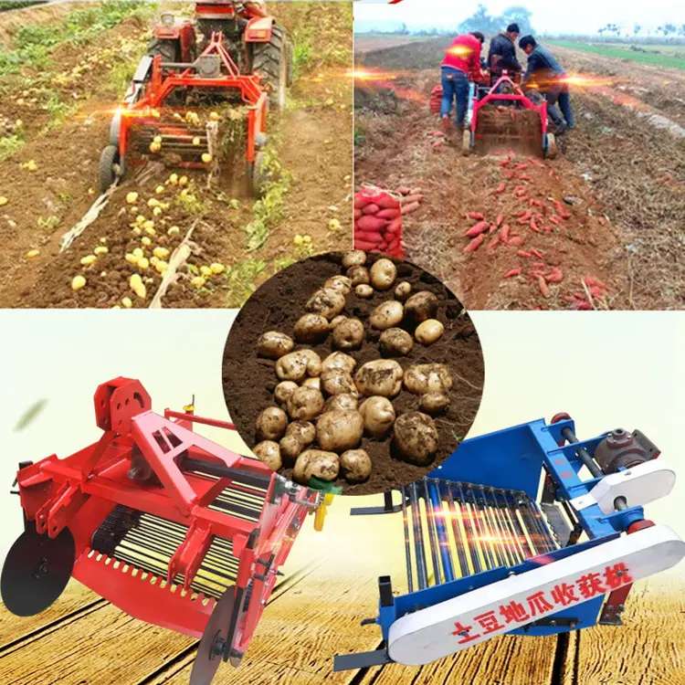 Harvest Machine for Potato