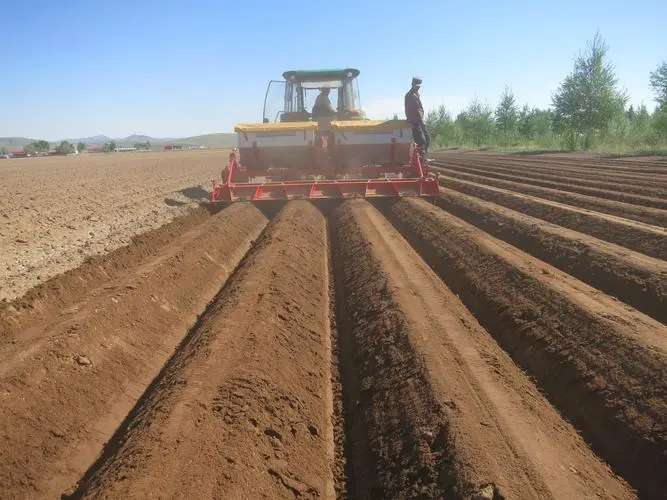 Cultivator Vs Spring Tooth Harrow