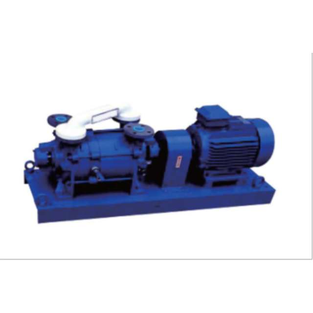 Hot Selling Single Double Stage Liquid Water-ring Vacuum Roots Rotary Van Piston Pump Replace Made in China