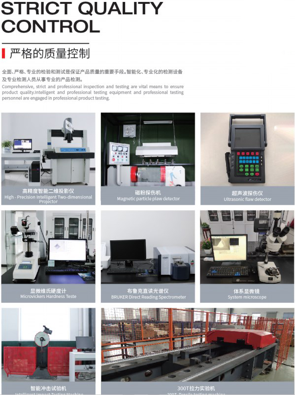 OEM Professional Manufacture Cheap FV40 FV63 FV90 FV112 FV Series Conveyor Chains and Sprockets