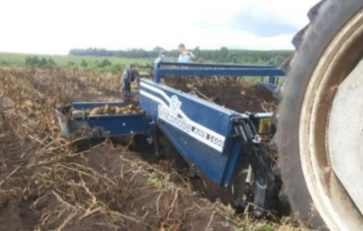 AWB-1600B High Efficiency 2 ROWS Potato Harvester 1200kg Potato Digger for Carrots, or Onions Without Damage