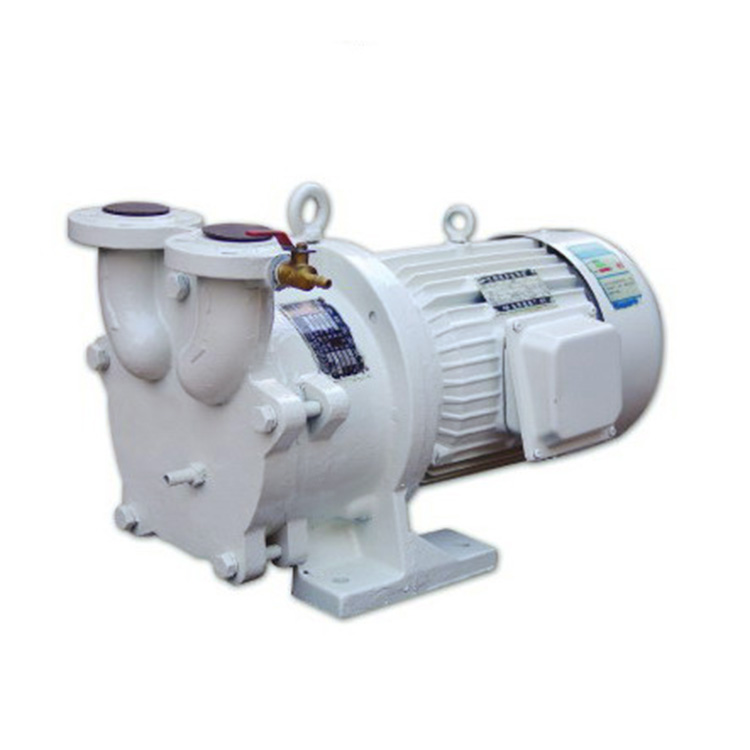Hot Selling Single Double Stage Liquid Water-ring Vacuum Roots Rotary Van Piston Pump Replace Made in China