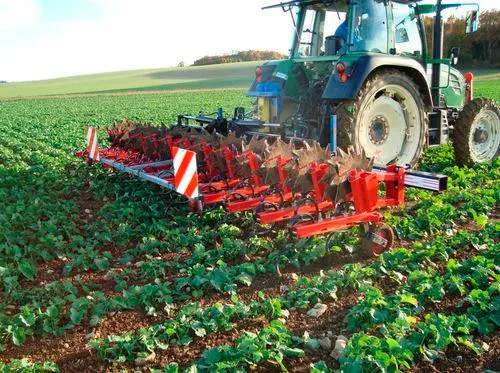 Cultivator Vs Spring Tooth Harrow
