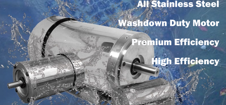 Hot Selling Stainless Steel Electric Waterproof Motor Made in China
