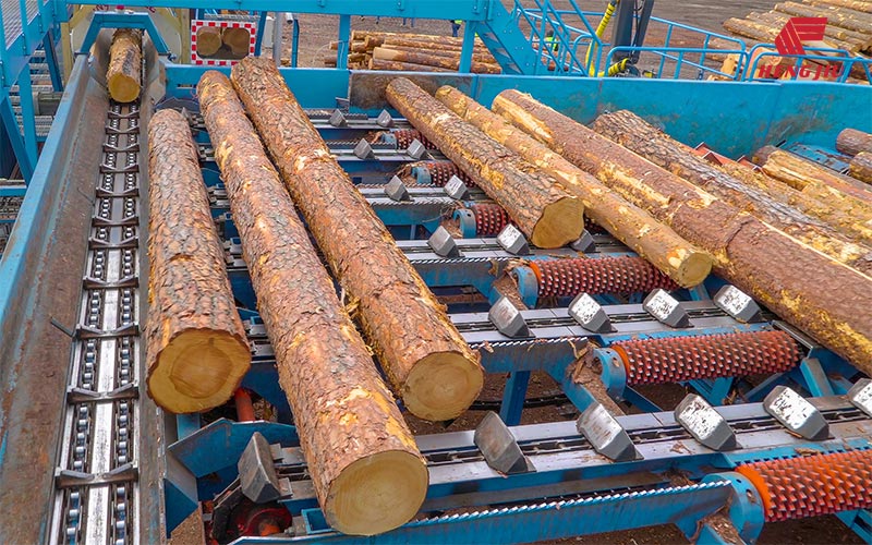81XXH Stainless Steel Lumber Conveyor Chains and Sprockets with 66.27mm Pitch