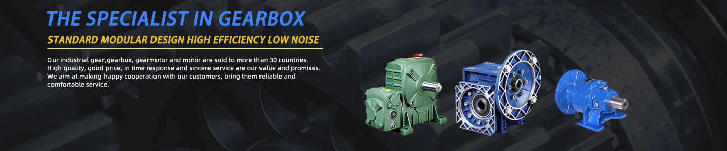 Reducer Spiral Bevel Helical Speed Reduction Variator Cycloidal Servo High Precision Planetary Winch Drive Nmrv Worm Gearbox
