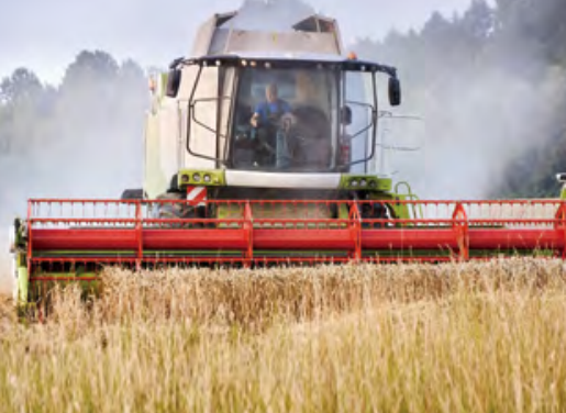 Good Quality Agricultural Machinery Rice Harvester Chains for sale
