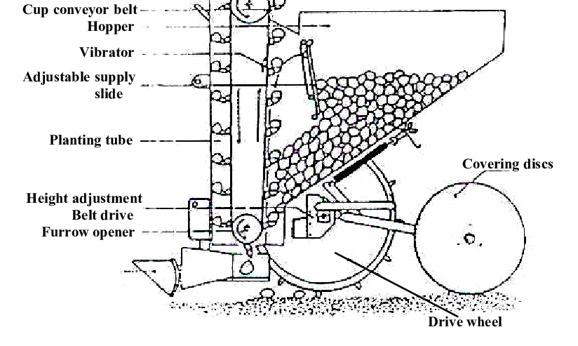 Tractor Drive Potato Planting Machine Seeder 1 Row Potato Planter