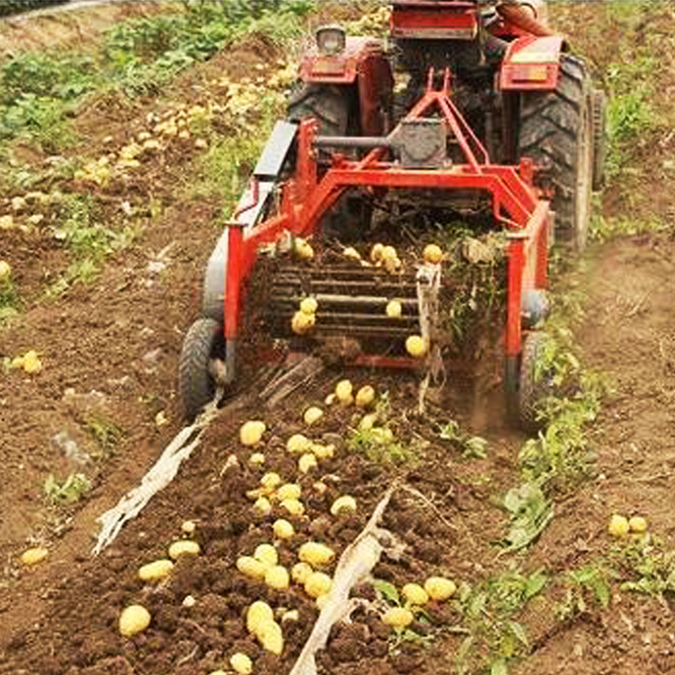 One Row Potato Harvester