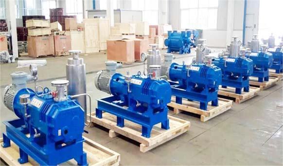 H-200 15kw Rotary Piston Vacuum Pump for Pvd