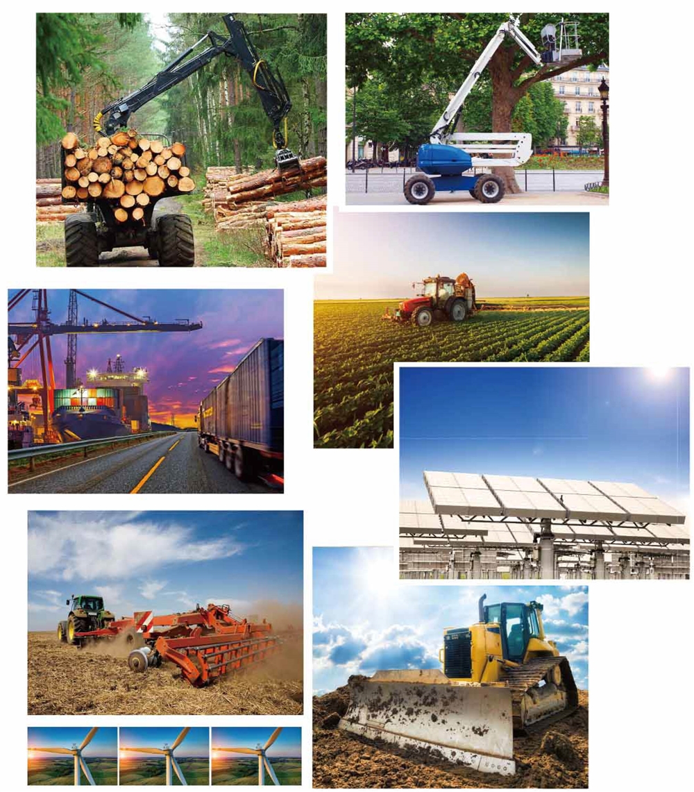 Professional Cheap Welded Tee WT-3000PSI Type Cylinders Hydraulic Cylinder for Excavator