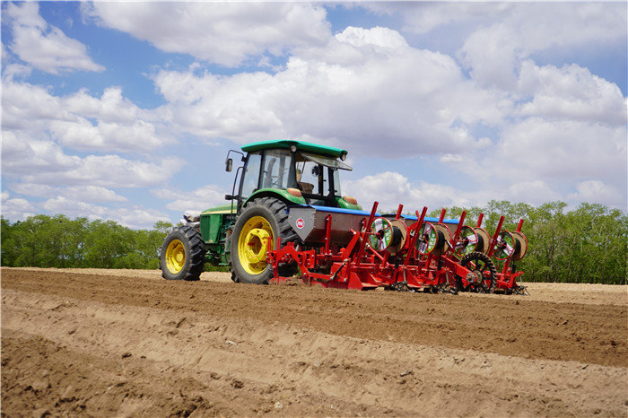 Agricultural Machinery 3 Point Hitch Chisel Plow