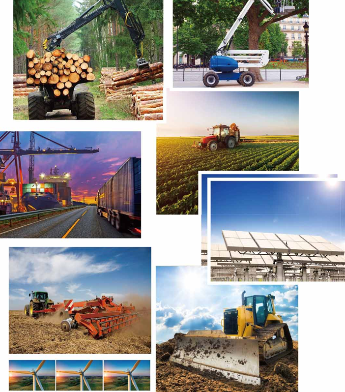 Customized Hydraulic Cylinders Double/Single Acting Tie Rod Piston Welded Telescopic Forklift Lift Steering Hydraulic Cylinder
