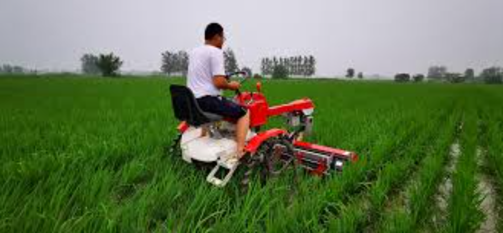 New Arrival Latest Design Japanese Paddy Field Alloy Rotary Blade Replacement of Agricultural Cultivator