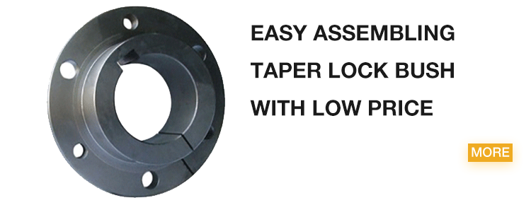 Easy Assembling Taper Lock Bush with Low Price