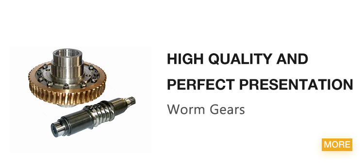High Quality Worm Gears Worm Gear Wheel Worm Gear Units