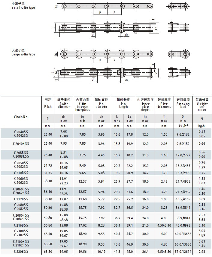 Stainless Steel Double Pitch Roller Chains C2040SS C2042SS C2040HSS C2050SS C2052SS C2060SS C2062SS C2060HSS C2062HSS