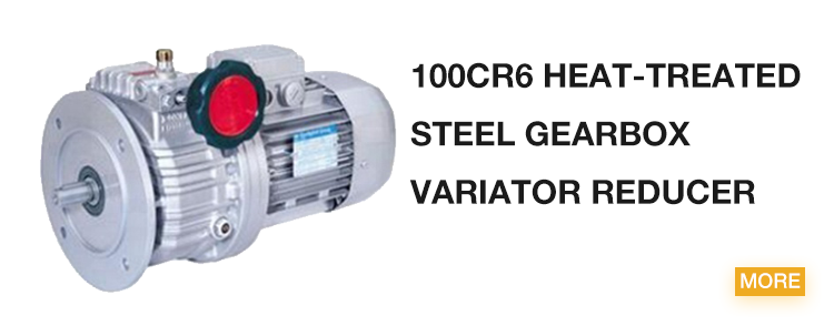 100Cr6 Heat-Treated Steel Gearbox Variator Reducer