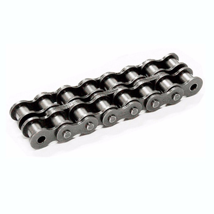 Stainless Steel Double Pitch Roller Chains C2040SS C2042SS C2040HSS C2050SS C2052SS C2060SS C2062SS C2060HSS C2062HSS
