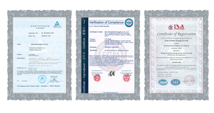Stainless Steel Double Pitch Roller Chains C2040SS C2042SS C2040HSS C2050SS C2052SS C2060SS C2062SS C2060HSS C2062HSS