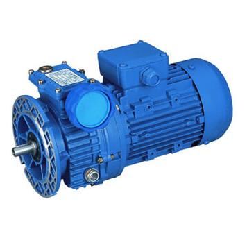 Wind Generator Motor