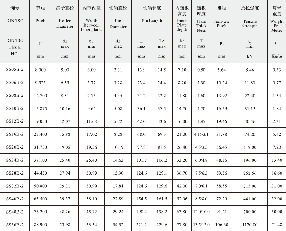 SS12B-2 B Series Stainless Steel Short Pitch Precision Duplex Roller Chain and Sprockets for Restaurant Industries