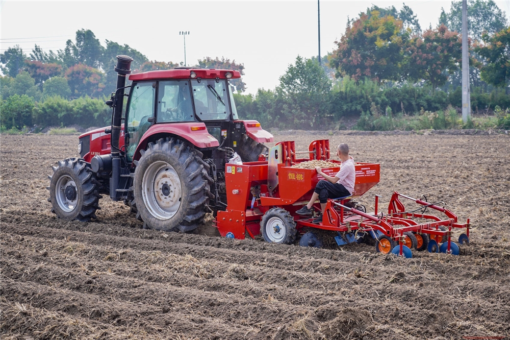 2 Rows Potato Seeder with Low Price