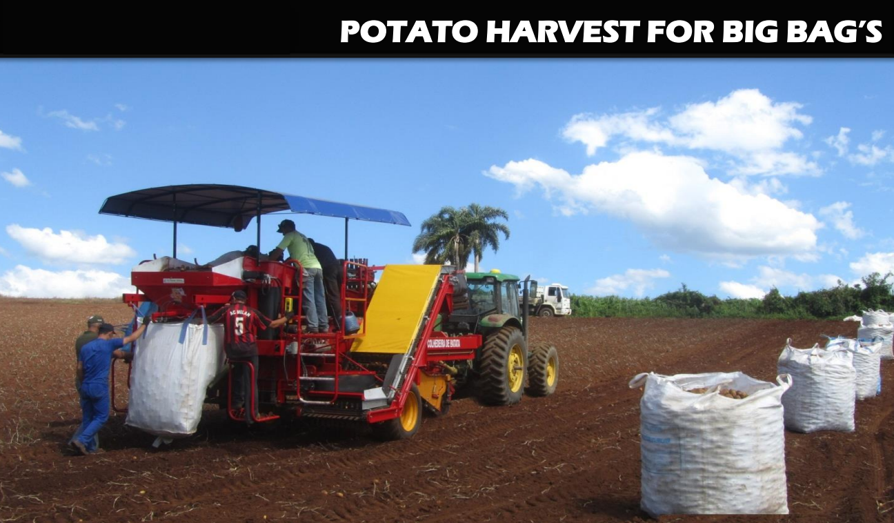 CWB-2L 2 Rows Working Speed 2-5 Km/h Potato Harvester for Carrots, or Onions