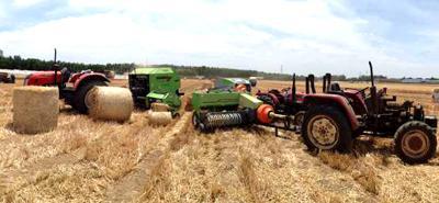 Hot Sale Quality Ce Certificate Full-automatic Mini Hay Baler Machine Mini Round Hay Baler for Sale