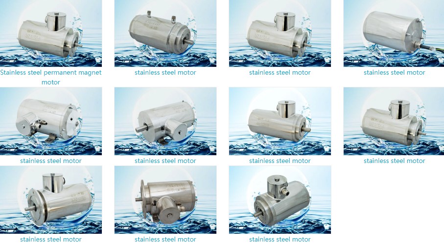 Hot Selling Stainless Steel Electric Waterproof Motor Made in China