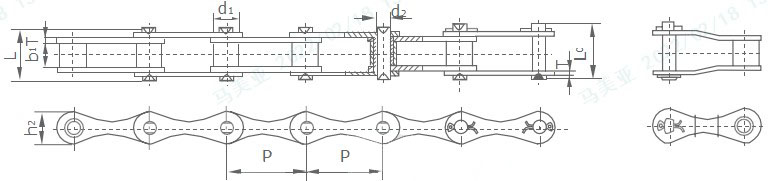 Agricultural Conveyor S Series S32 S42 S45 S52 S55 S55R S62 S77 S88 Roller Chain