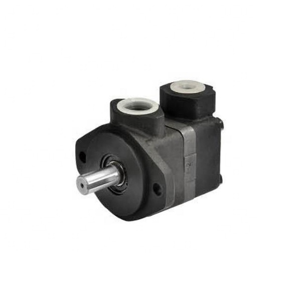 Eaton Vickers Vane Pump V10 V20 V2010 2020