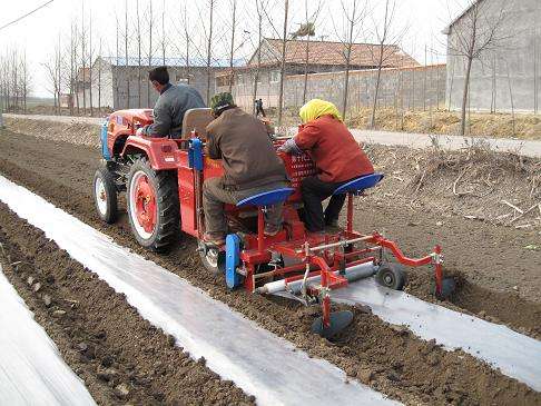 Tractor Drive Potato Planting Machine Seeder 1 Row Potato Planter