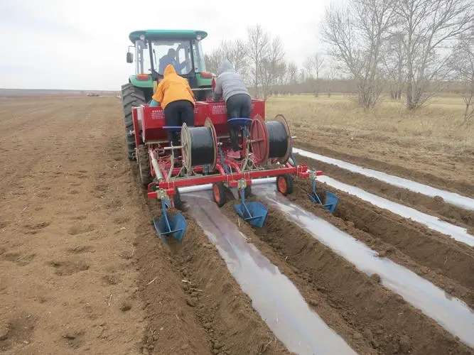 2 Rows Potato Seeder with Low Price