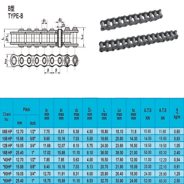 Lengthen Large Pin Chain Hollow Pin Roller Chain Customize