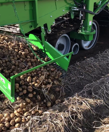 AWB-3200CAR 4 Rows 3000kg Agricultural Heavy Potato Harvester No Damage Trailed Potato Diggers for Carrots, Garlic or Onions