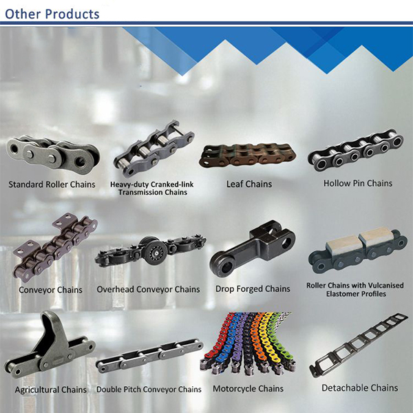 HP1873TAB-K375 GS3J    Chain  for Bottling Machine