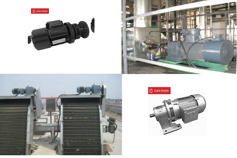 China WB Series Cycloid Planetary Gear Reducer Vf Worm Drive Gear Speed Reducer for Troweling Machine