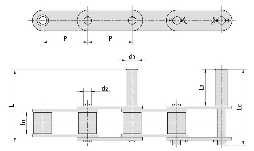 CA550-D1 CA550-D2 CA550-D4 S62F6 S62F4 CA620-D1F1 Agricultural Steel Conveyor Chains with D1 Attachment for Transmission